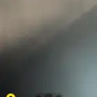 خرفان نعيمي ذبايح من1450 إلى 1600