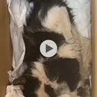 نحتاج محتضن فترة العلاج