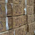 كراتين موز جديد باكياسها شربتلي