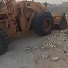 شيول فركاوه موديل 84 الحجم 230