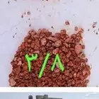 رد دينا بطحاء حائل