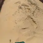 رمل ناشف خاص لدفن الكيابل