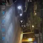كلبة مالتيز تم سرقتها من امام البيت