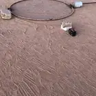صيادة حمام وطيور اوتوماتيك