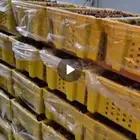 خلاص و خضري وبرحي و مكتومي إنتاج جديد تقريبا 5 طن