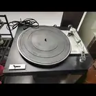 القطيف