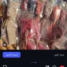 مكرمية جمله او بالحبه