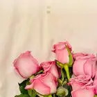 مين ضايع له قطة في الحوية