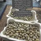 بيض سمان