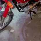 دباب على اشرط سوزوكي