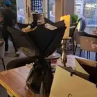 وظائف نسائية في مقهى كوفي
