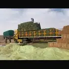 برسيم صيفي مخزن