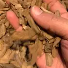 دقه مروكي سوبر واقل نكهه طيبه