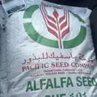 بذور باسفيك كاف 101 مغلف وارد الكويت.