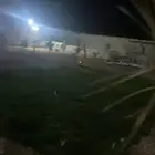 استراحه بالحوش القيصومة