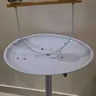 ستاند ببغاء نظيف