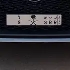 للبيع لوحه فردي مميزه