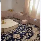 مجلس ارضي