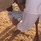 شقراء