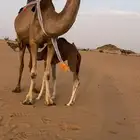 خلفه حمرا
