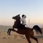 حصان واهو
