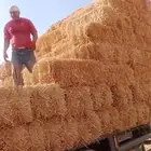 برسيم المتوفر تبن قمح فاخر