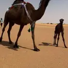 خلفه ثنو كفووو
