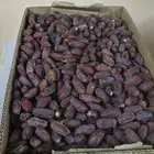تمر برني العلا