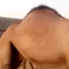 قعدان مستورده صومالي