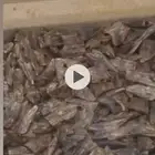 عود بخور صيني دبل سوبر طبيعي ( 1000جرام ) للبيع