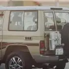 جنوط لكسز