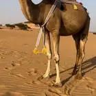 خلفه حمرا كفووو