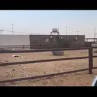 شبك في سوق الإبل للتقبيل أو لأجار