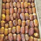 تمر رطب صقعي للبيع