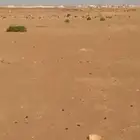 ارض زراعية في الجله قريبه لطريق مكه