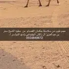 وادي الدواسر