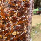 برني العيص الفاخر