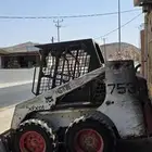 شيول ابو بس مديل