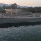 للبيع مزرعتين بالمليليح مساحه 60الف
