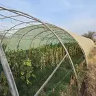 بيوت محميه للبيع
