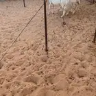 حريه متاومه