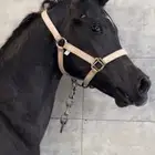 مهر شيخ