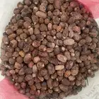 للبيع تمر علف ناشف مشكل نظيف الاحساء