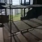 محاكر طيور وحمام للبيع