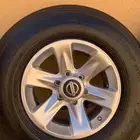 جنوط فتك اصلي