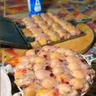 دخل فاخر سعر طيب كمية قليلة