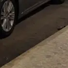 جنوط لكزس للبيع وصدام امامي لكزس