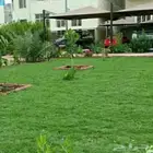 منسق حدائق جده ومكه زراعه النجيله الطبيعي الشبكات الري زراعه