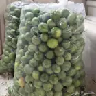 ليمون ابو زهير