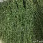 مرخ